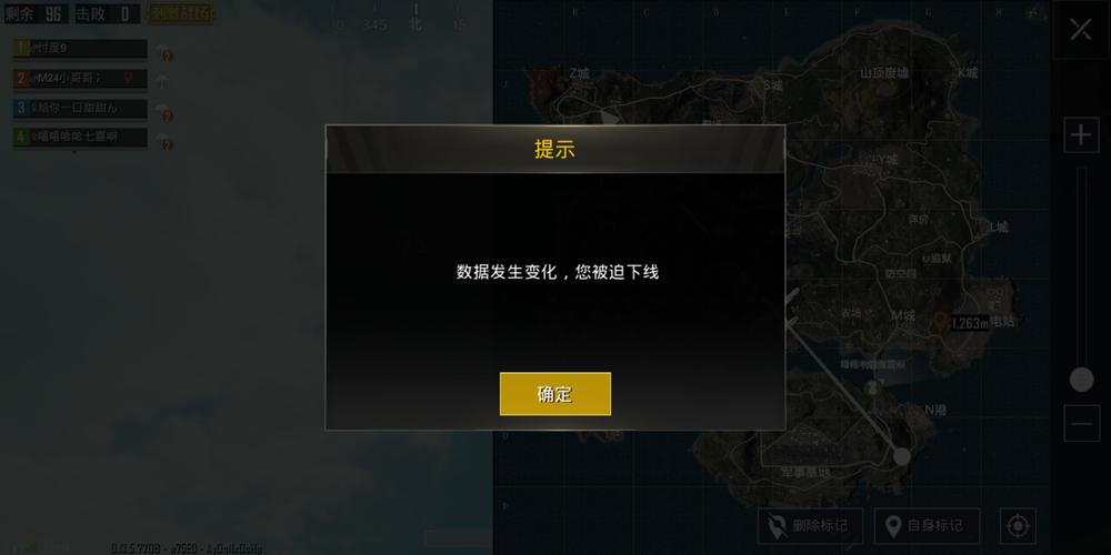 和平精英《北极熊》辅助